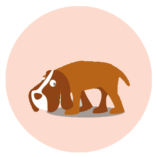 Wissenswertes